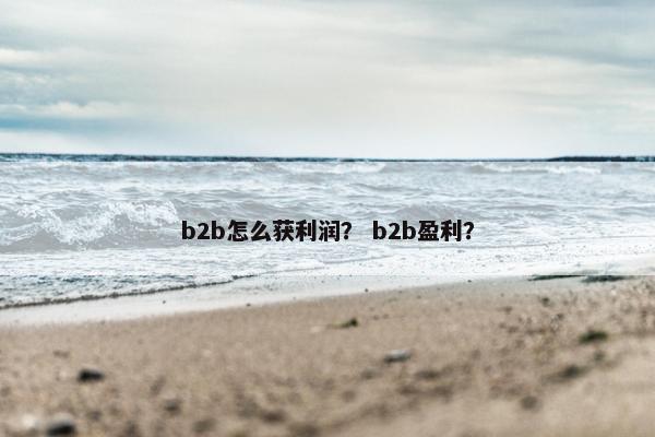b2b怎么获利润？ b2b盈利？
