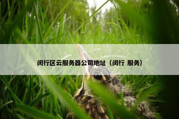 闵行区云服务器公司地址（闵行 服务）