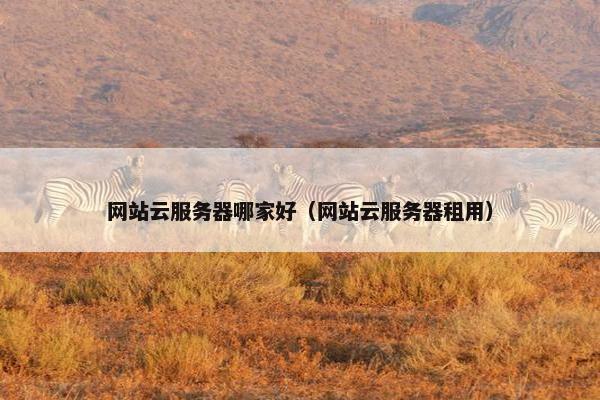 网站云服务器哪家好（网站云服务器租用）