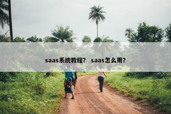 saas系统教程？ saas怎么用？