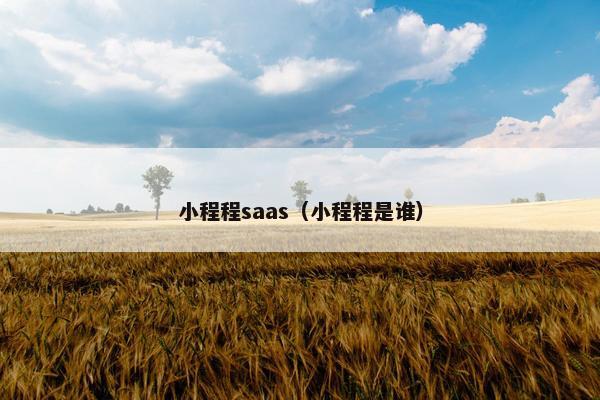 小程程saas（小程程是谁）
