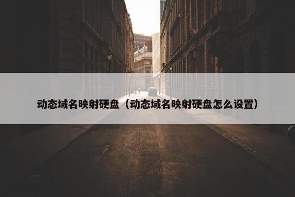 动态域名映射硬盘（动态域名映射硬盘怎么设置）