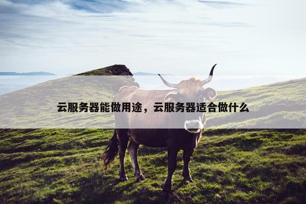 云服务器能做用途，云服务器适合做什么