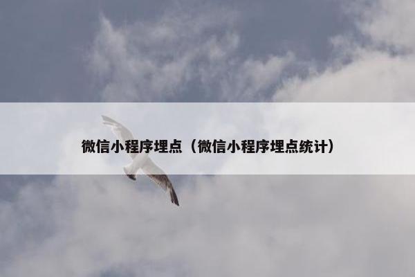 微信小程序埋点（微信小程序埋点统计）