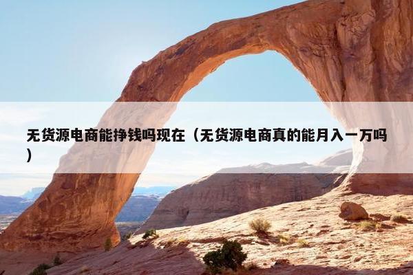 无货源电商能挣钱吗现在（无货源电商真的能月入一万吗）