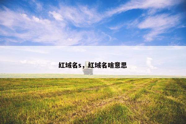 红域名s，红域名啥意思