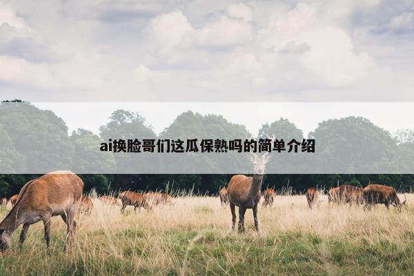 ai换脸哥们这瓜保熟吗的简单介绍