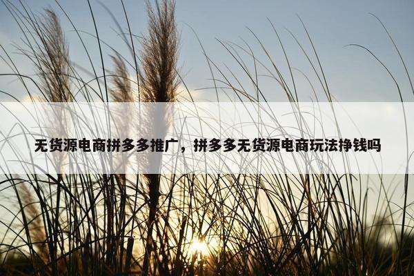 无货源电商拼多多推广，拼多多无货源电商玩法挣钱吗