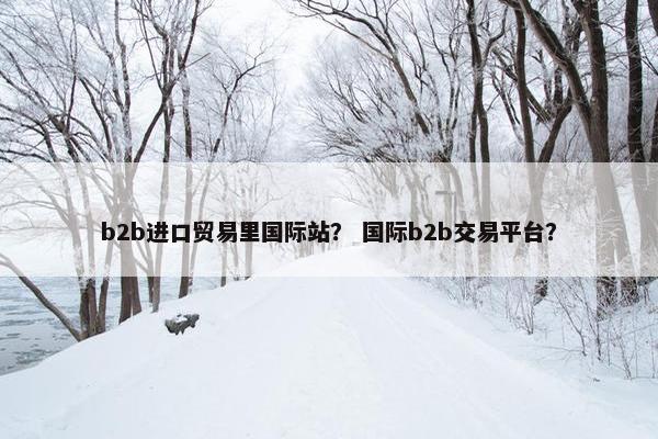 b2b进口贸易里国际站？ 国际b2b交易平台？