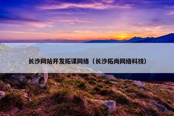 长沙网站开发拓谋网络（长沙拓尚网络科技）