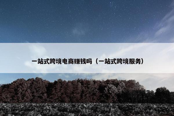 一站式跨境电商赚钱吗（一站式跨境服务）