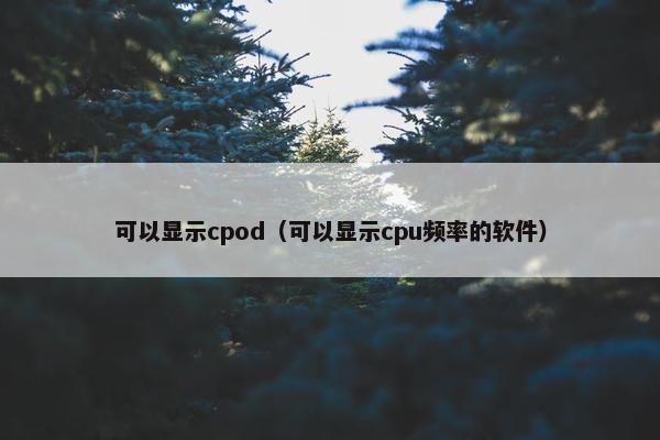 可以显示cpod（可以显示cpu频率的软件）
