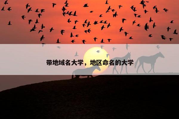 带地域名大学，地区命名的大学