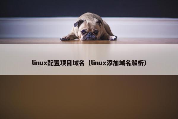 linux配置项目域名（linux添加域名解析）
