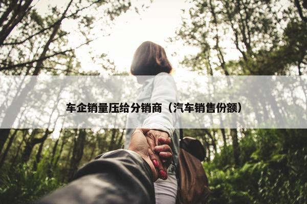 车企销量压给分销商（汽车销售份额）