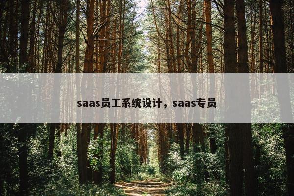 saas员工系统设计，saas专员