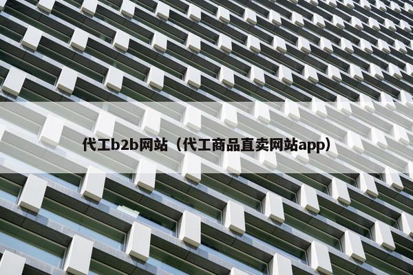代工b2b网站（代工商品直卖网站app）