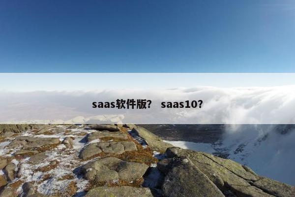 saas软件版？ saas10？