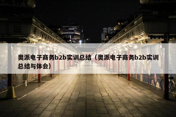 奥派电子商务b2b实训总结（奥派电子商务b2b实训总结与体会）