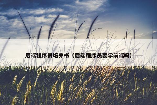 后端程序员培养书（后端程序员要学前端吗）