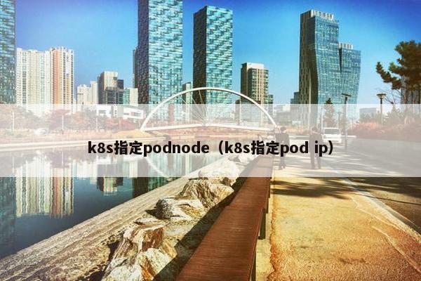 k8s指定podnode（k8s指定pod ip）