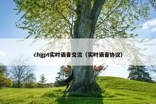 chgpt实时语音交流（实时语音协议）