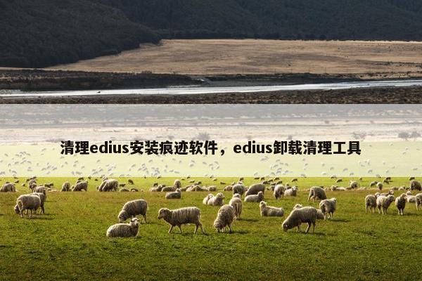 清理edius安装痕迹软件，edius卸载清理工具