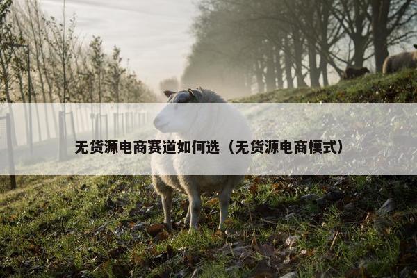 无货源电商赛道如何选（无货源电商模式）