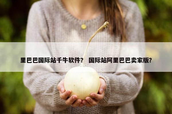 里巴巴国际站千牛软件？ 国际站阿里巴巴卖家版？