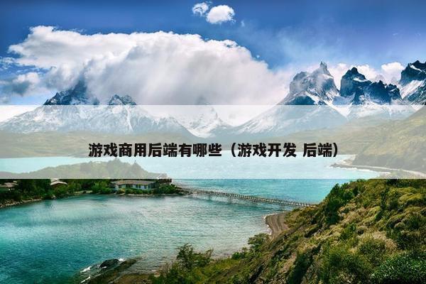 游戏商用后端有哪些（游戏开发 后端）