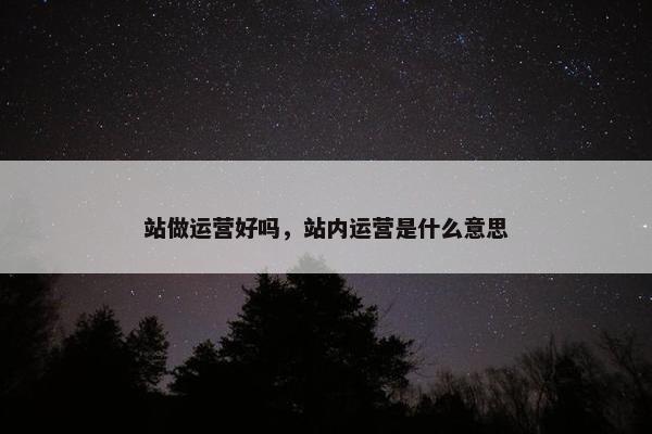 站做运营好吗，站内运营是什么意思