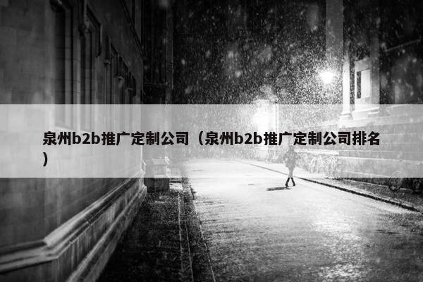 泉州b2b推广定制公司（泉州b2b推广定制公司排名）