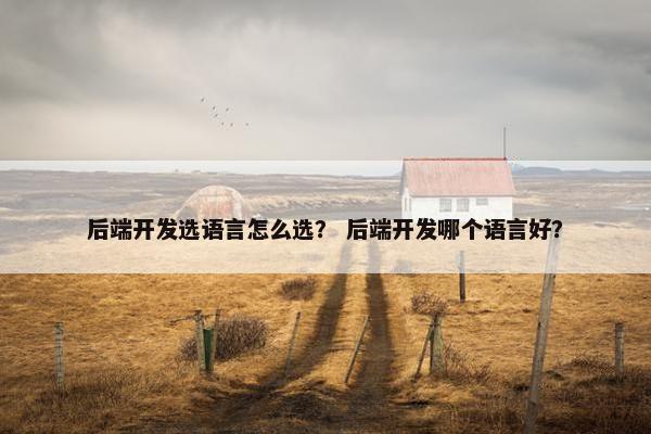 后端开发选语言怎么选？ 后端开发哪个语言好？