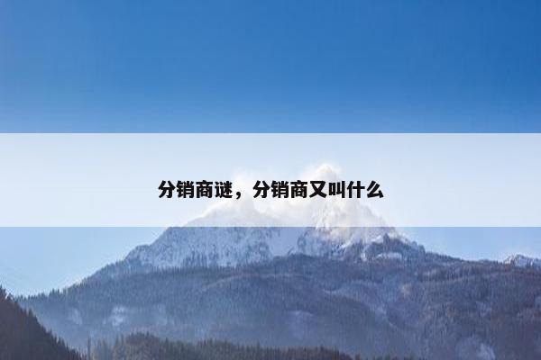 分销商谜，分销商又叫什么
