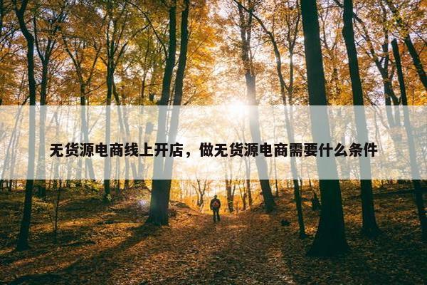 无货源电商线上开店，做无货源电商需要什么条件