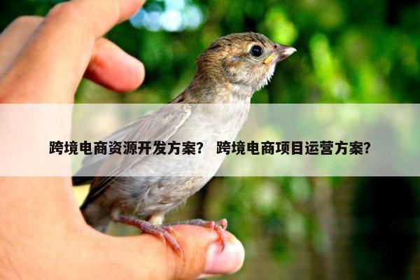 跨境电商资源开发方案？ 跨境电商项目运营方案？