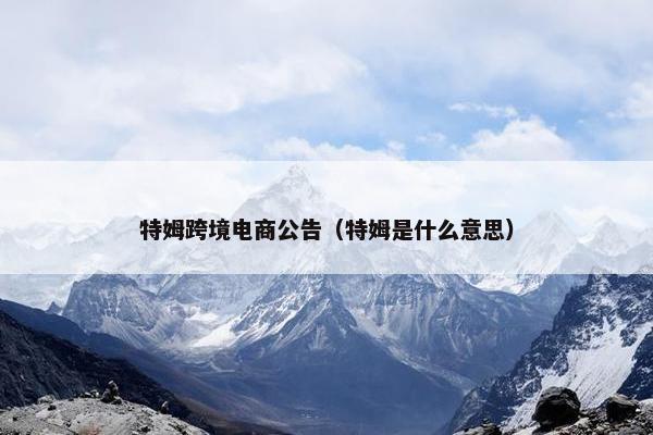 特姆跨境电商公告（特姆是什么意思）