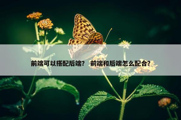 前端可以搭配后端？ 前端和后端怎么配合？