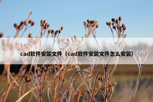 cad软件安装文件（cad软件安装文件怎么安装）