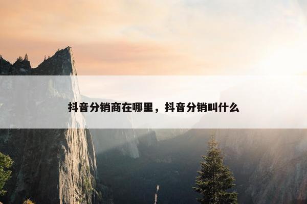 抖音分销商在哪里，抖音分销叫什么