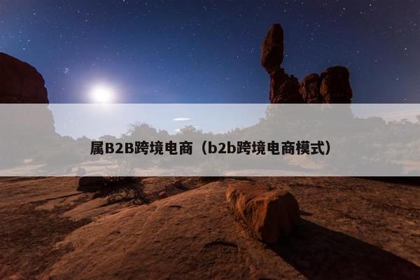 属B2B跨境电商（b2b跨境电商模式）