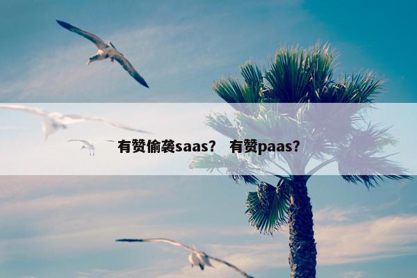 有赞偷袭saas？ 有赞paas？