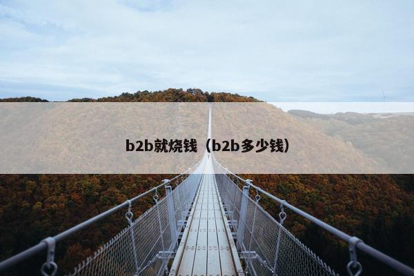 b2b就烧钱（b2b多少钱）