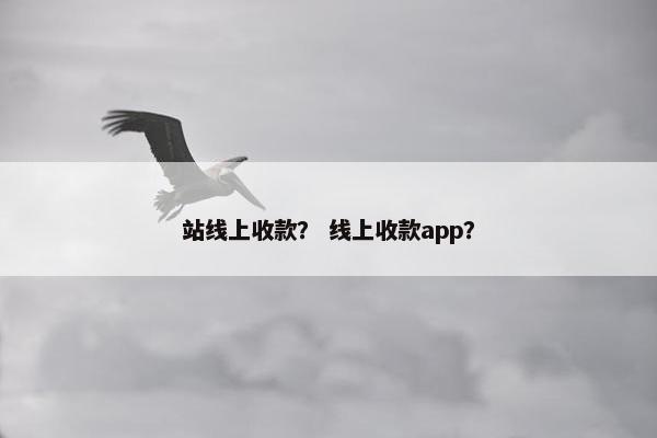 站线上收款？ 线上收款app？