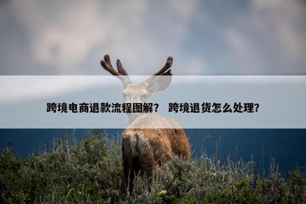 跨境电商退款流程图解？ 跨境退货怎么处理？