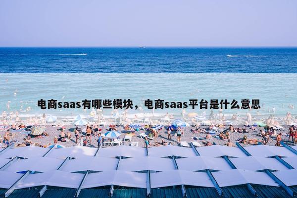 电商saas有哪些模块，电商saas平台是什么意思