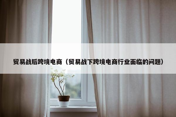 贸易战后跨境电商（贸易战下跨境电商行业面临的问题）