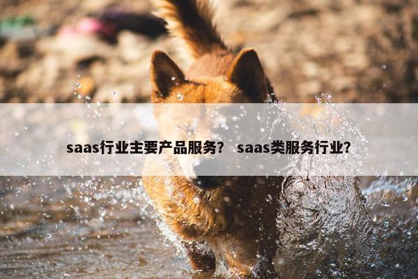 saas行业主要产品服务？ saas类服务行业？