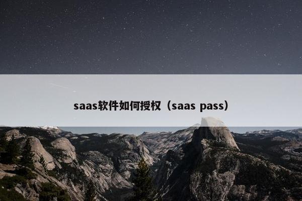 saas软件如何授权（saas pass）