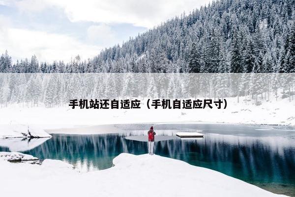 手机站还自适应（手机自适应尺寸）